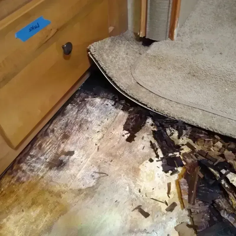 Wood Floor Water Damage in Middletown, PA